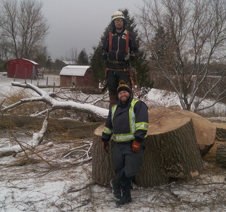 Tobys Tree Service | 81 McVeigh Dr, Barrie, ON L4N 7E4, Canada | Phone: (705) 791-6052