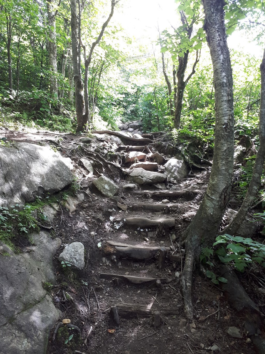 Parc régional du Mont Ham | 103 Route 257 Ouest, Saint-Joseph-de-Ham-Sud, QC J0B 3J0, Canada | Phone: (819) 828-3608
