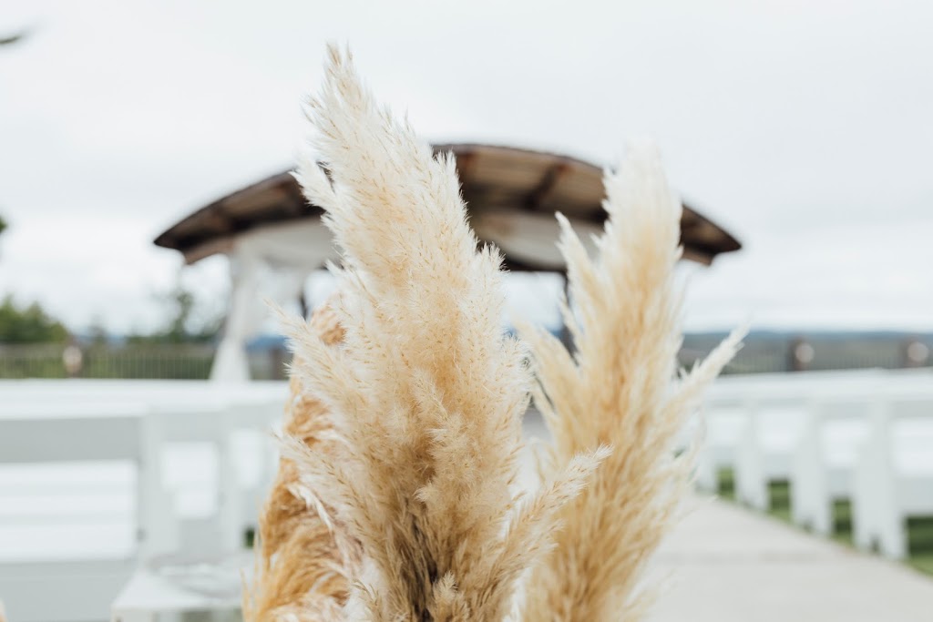 Sea and Silk Events | 21 St Andrews St, Almonte, ON K0A 1A0, Canada | Phone: (613) 371-9844