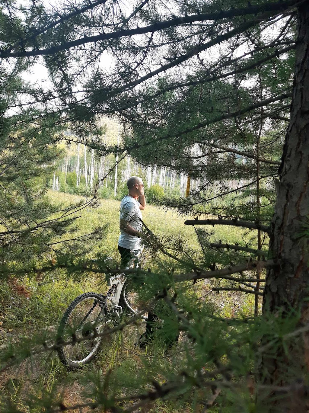 Northstar Bicycle Co | 1900 Cranbrook St N, Cranbrook, BC V1C 3T1, Canada | Phone: (778) 520-2480