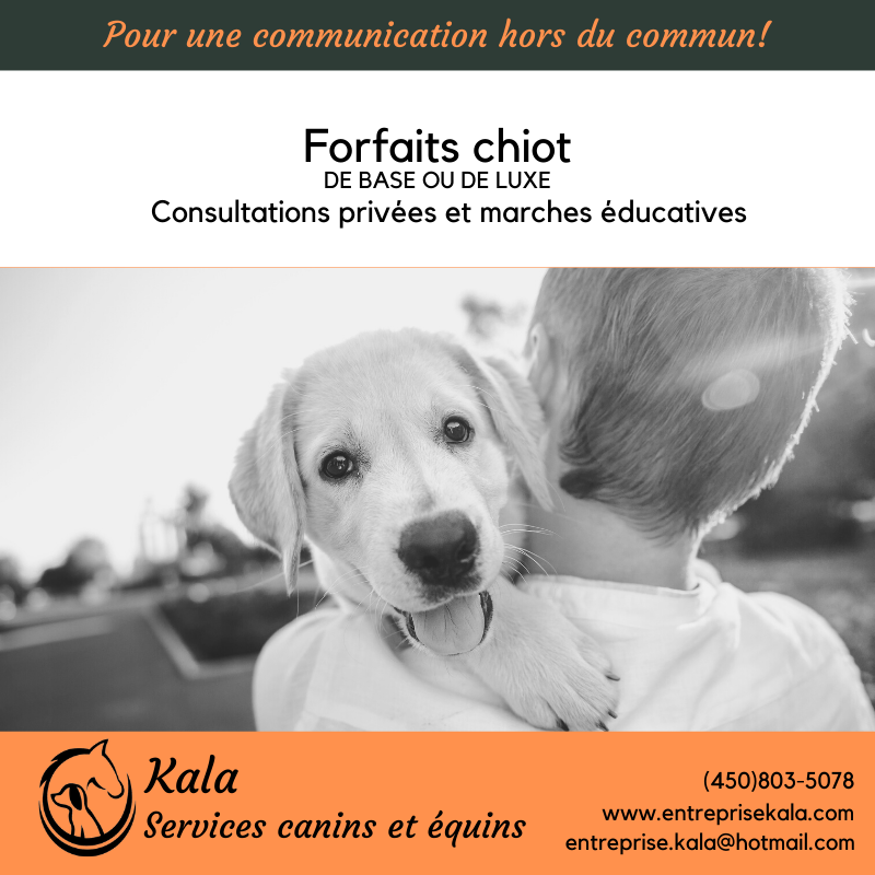 Kala, Services Canins et Équins - Éducation et Dressage- Laval | 368 Rue de Villandraut, Laval, QC H7K 3R2, Canada | Phone: (450) 803-5078
