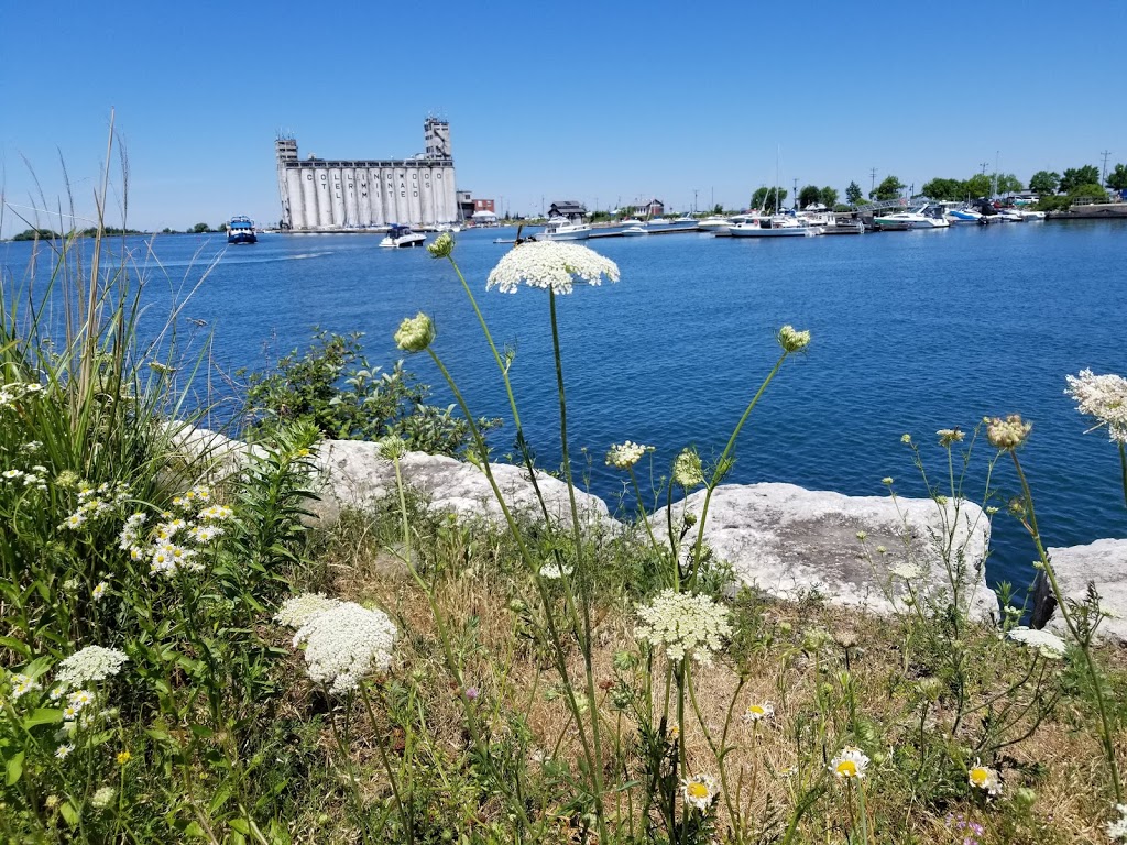Collingwood Charters | Side Launch Way, Collingwood, ON L9Y 1A1, Canada | Phone: (705) 443-1124