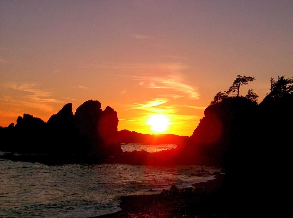 Wildwood Adventures | 6848 Sutherland Ave, Powell River, BC V8A 4V9, Canada | Phone: (604) 413-1341