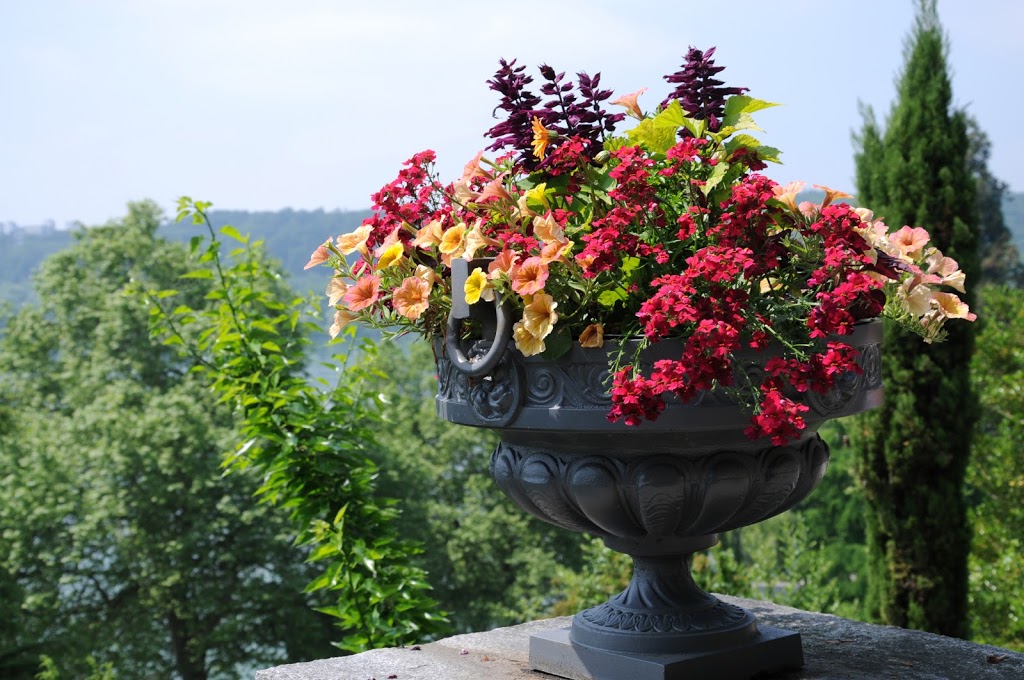 Alliston Garden Solutions | 22 Swenson St, Alliston, ON L9R 0J8, Canada | Phone: (705) 440-8636