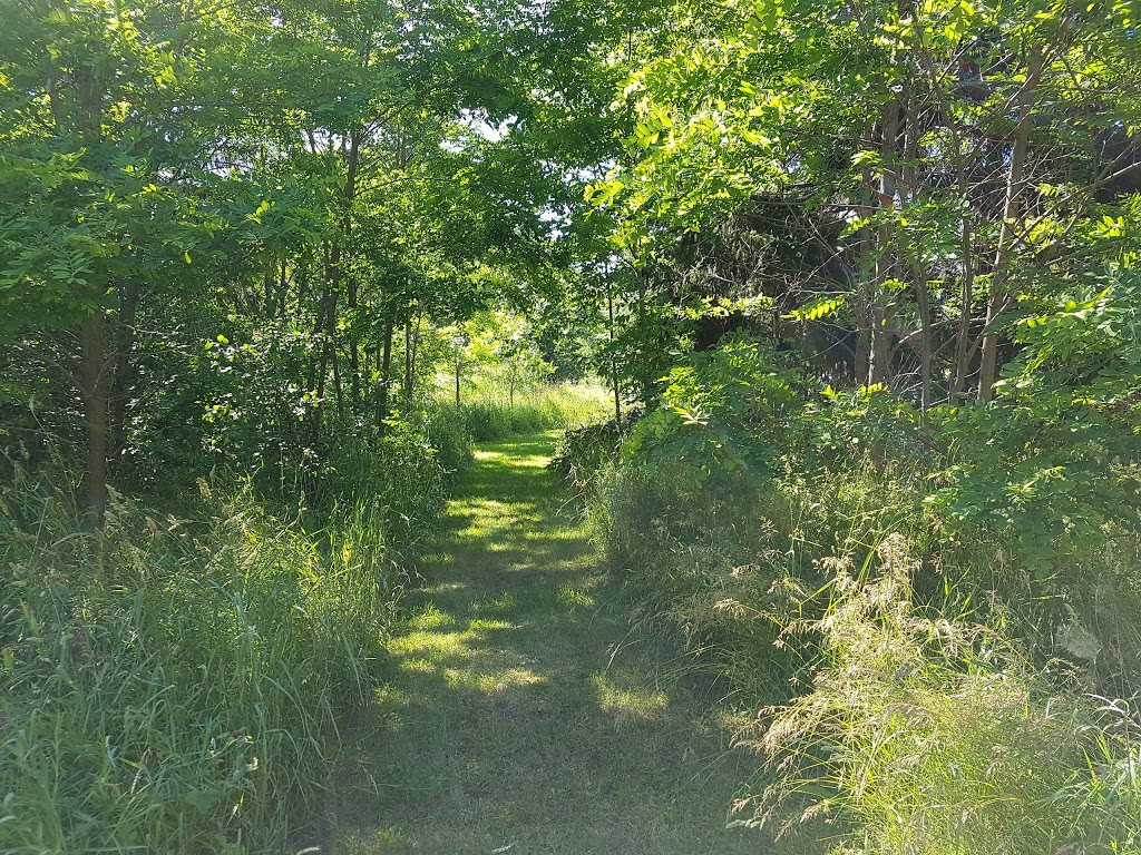 McRae Point Provincial Park | 4366 McRae Park Rd, Longford Mills, ON L0K 1L0, Canada | Phone: (705) 325-7290