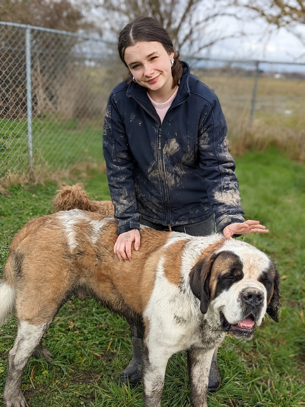 Pathfinder Pet Care & Dog Ranch | 13800 No. 3 Rd, Richmond, BC V7A 1X6, Canada | Phone: (778) 991-9169
