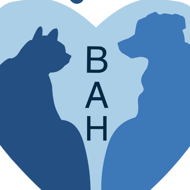 Bowness Animal Hospital | 7930 Bowness Rd NW unit 18, Calgary, AB T3B 5C2, Canada | Phone: (587) 391-3911