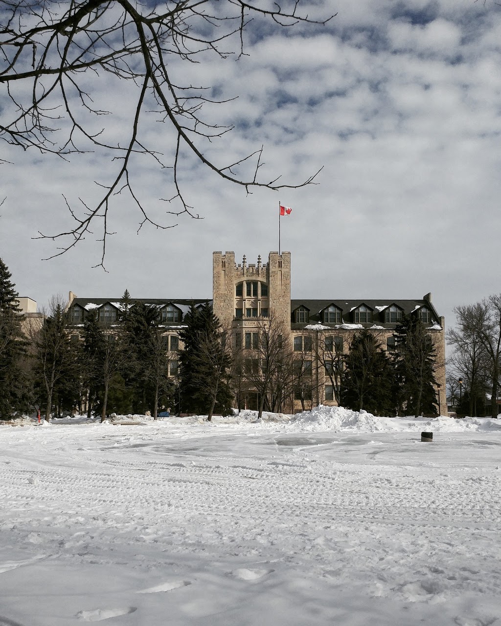 Tier Building | 173 Dafoe Rd W, Winnipeg, MB R3T 2M9, Canada