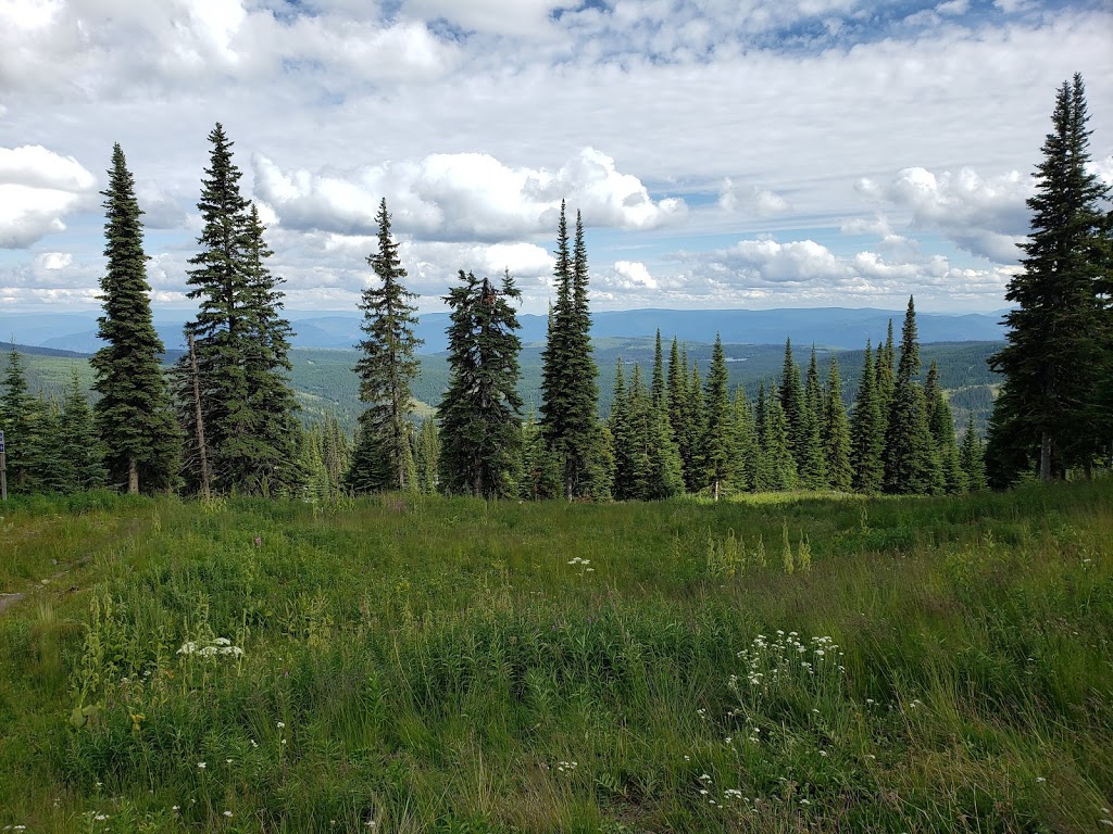 Sunburst Lodge Restaurant | At The Top Of Sunburst Express Chairlift, Sun Peaks, BC V0E 5N0, Canada | Phone: (250) 578-7222