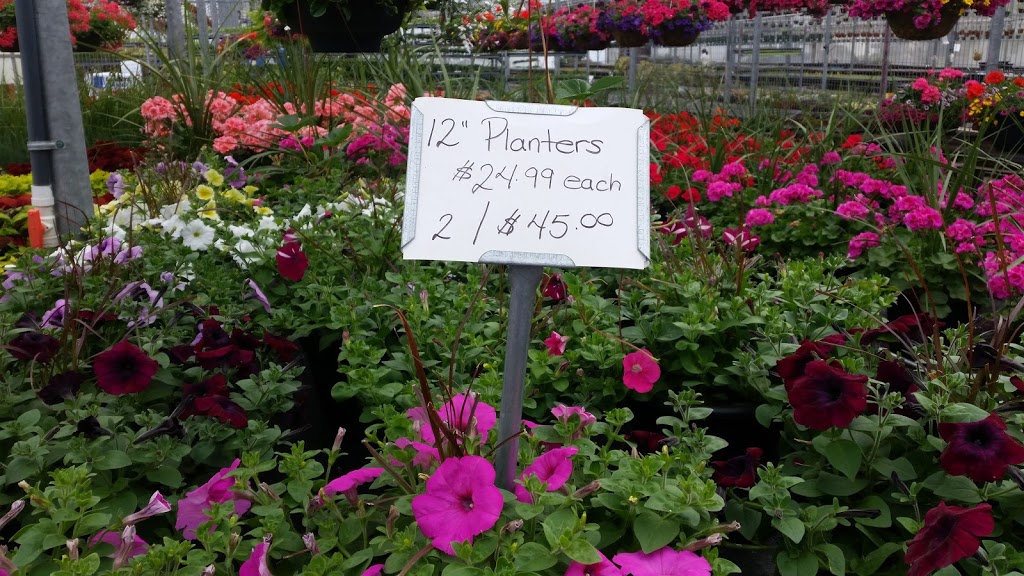 Floral Dimensions | 906 Hwy 20 W, Fenwick, ON L0S 1C0, Canada | Phone: (905) 892-4947