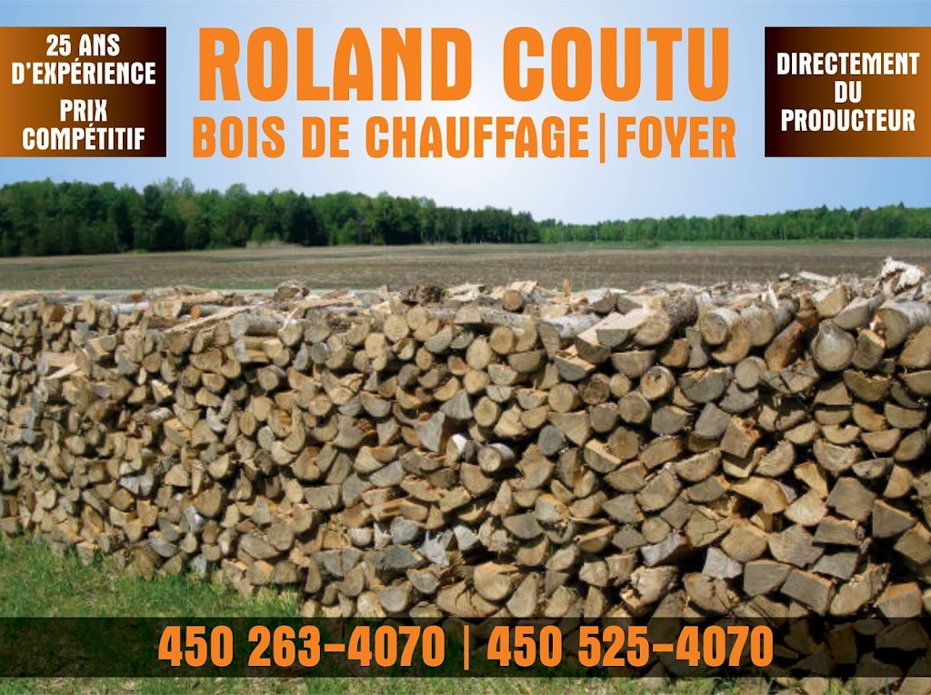 Roland Coutu Bois de chauffage | store | 377 Av. des Érables, Brigham, QC J2K 4C6, Canada | 4502634070 OR +1 450-263-4070