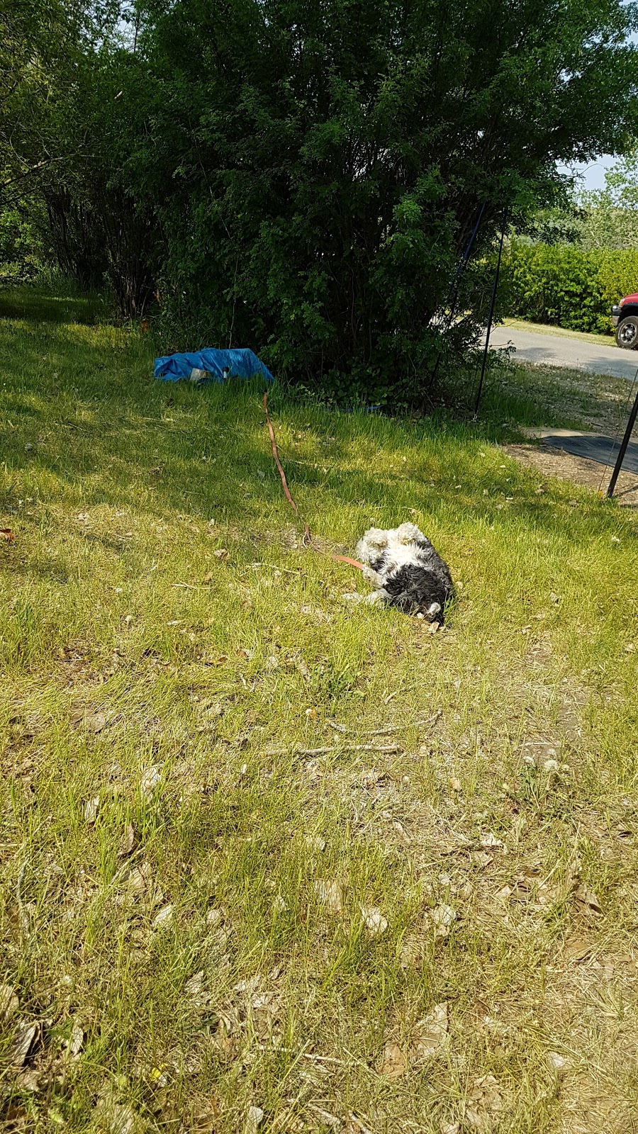 Shady Lane Campground | Marquis No. 191, SK S0H 4C0, Canada | Phone: (306) 694-3320