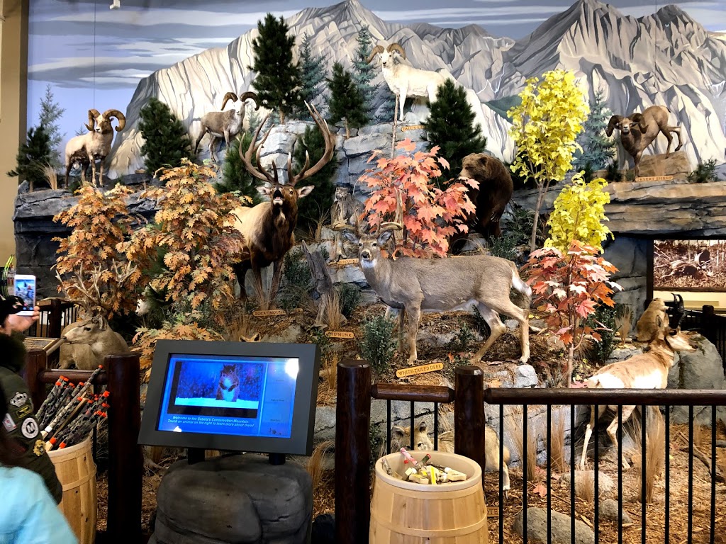 Cabelas Barrie | Park Place Centre, 50 Concert Way, Barrie, ON L4N 6N5, Canada | Phone: (705) 735-8900