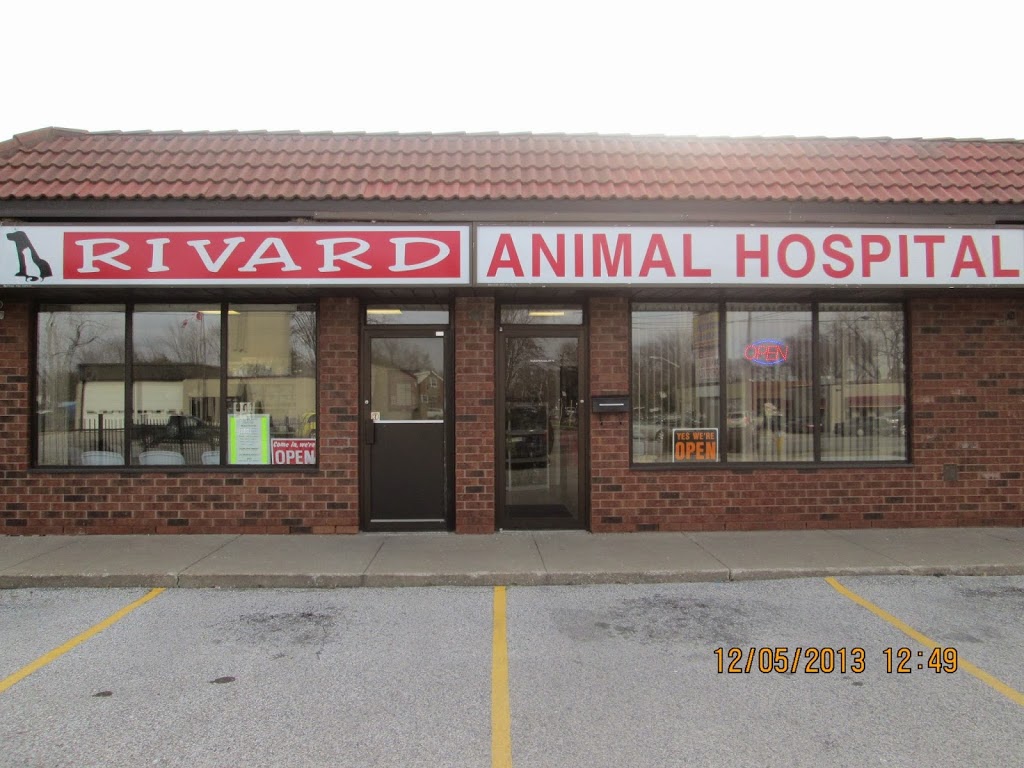 Rivard Animal Hospital - 5635 Tecumseh Rd E, Windsor, ON N8T 1C8, Canada Rivard Animal Hospital - 5635 Tecumseh Rd E, Windsor, ON N8T 1C8, Canada