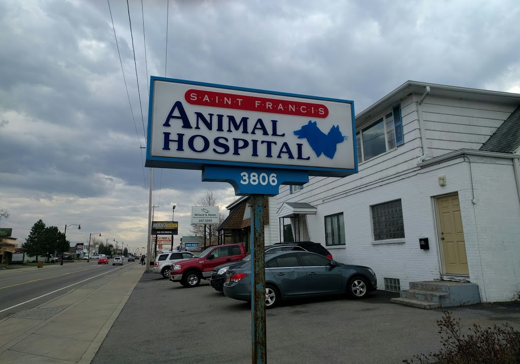 St. Francis Animal Hospital | 3806 Harlem Rd, Buffalo, NY 14215, USA | Phone: (716) 835-1700