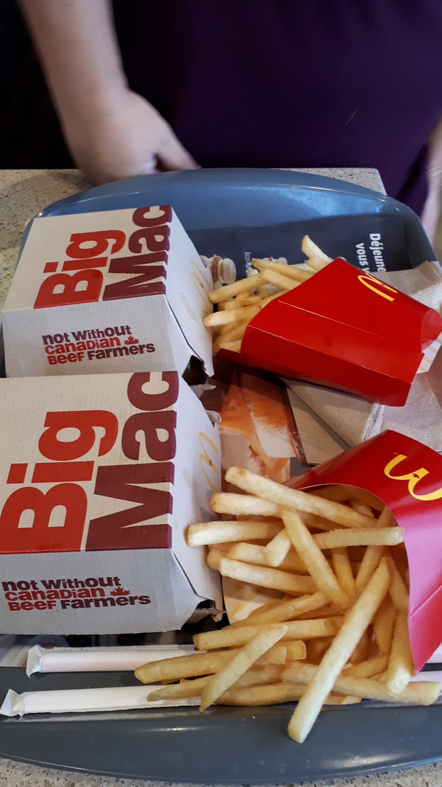 McDonalds | 5531 Boulevard Laurier, Terrebonne, QC J7M 1T7, Canada | Phone: (450) 968-3322