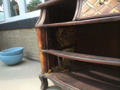 Park Pest Control | 51044 Range Rd 205, Sherwood Park, AB T8G 1E5, Canada | Phone: (780) 446-7428
