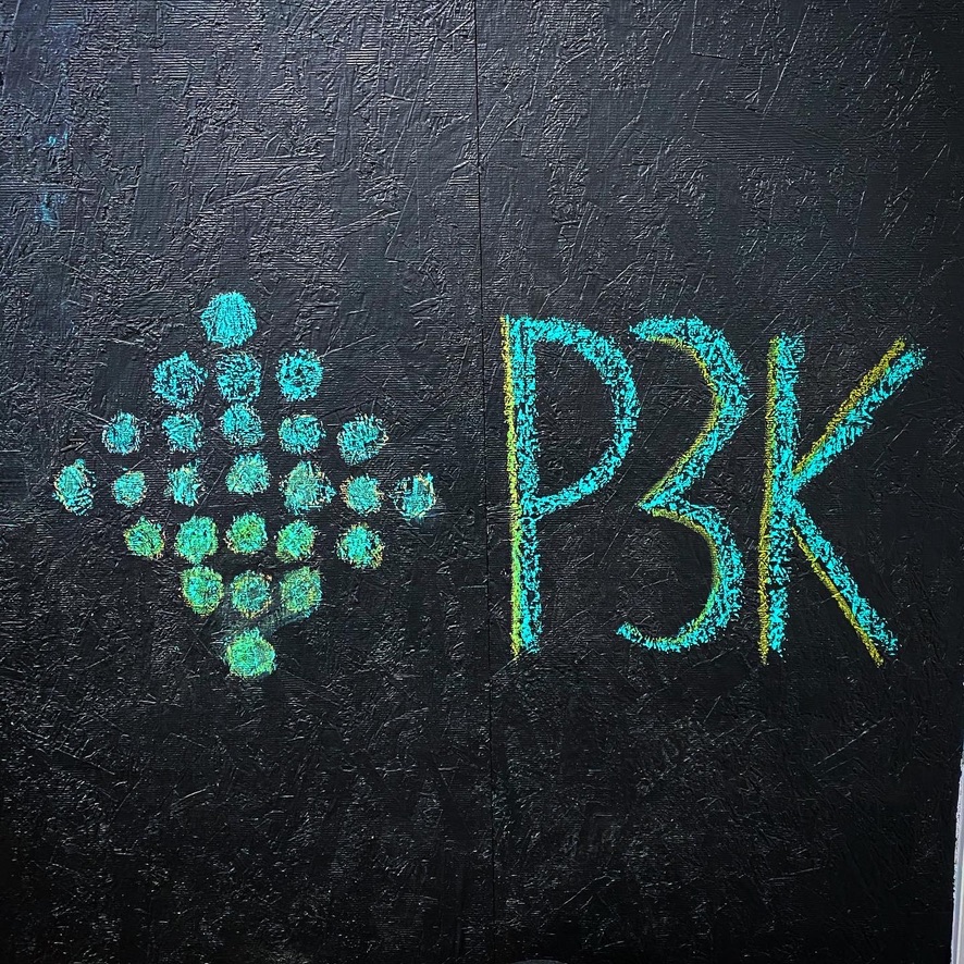 P3 Kinesiology | 3200 Arden Rd, Courtenay, BC V9N 9P4, Canada | Phone: (778) 384-4532