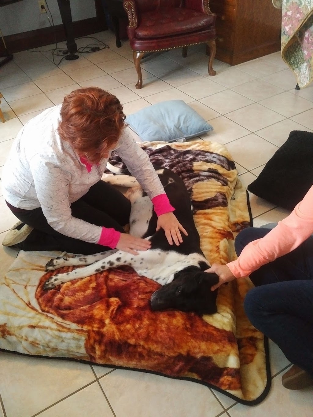 Furbaby Pet Care | 2902 Jasper Ave S, Saskatoon, SK S7J 4L7, Canada | Phone: (306) 912-7783