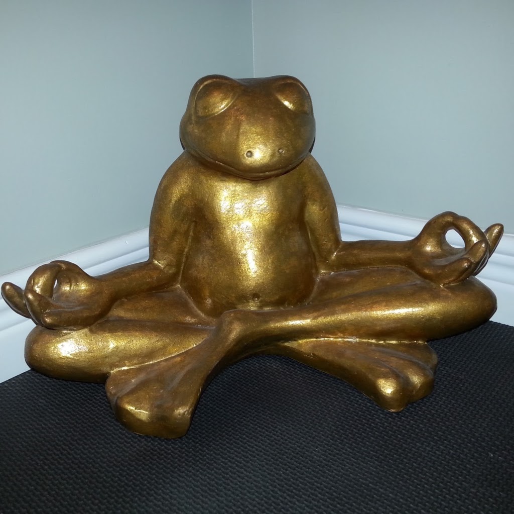 Shanti Yoga Studio | 6737 Egremont Dr, London, ON N6H 5L2, Canada | Phone: (519) 472-1404