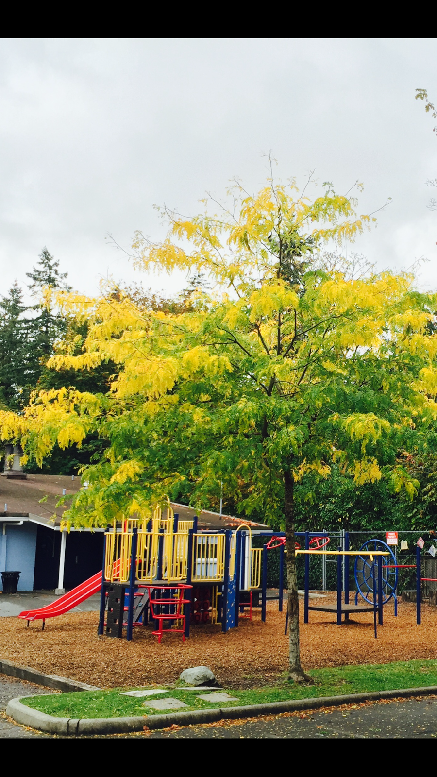 Immaculate Conception Catholic School | 3745 W 28th Ave, Vancouver, BC V6S 1S6, Canada | Phone: (604) 224-5012