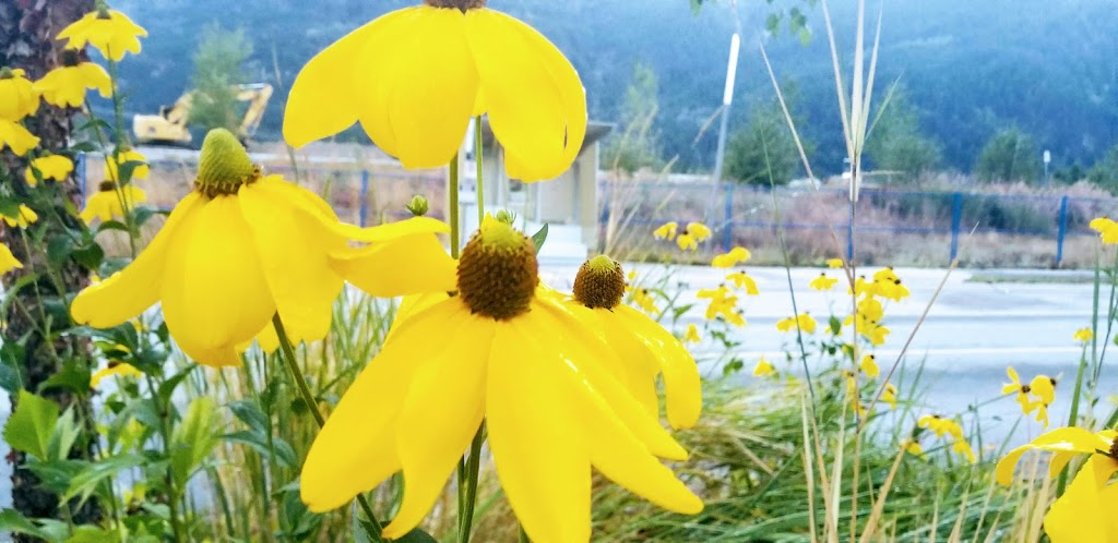 Whistler Gymnastics Club | 1090 Legacy Way, Whistler, BC V0N 1B1, Canada | Phone: (604) 902-3547