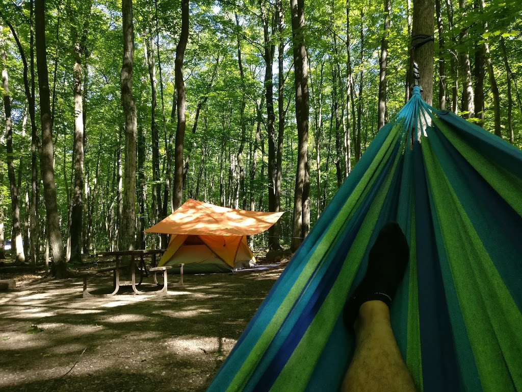 Bear Campground | Tiny, ON L9M 1R2, Canada | Phone: (705) 549-2231