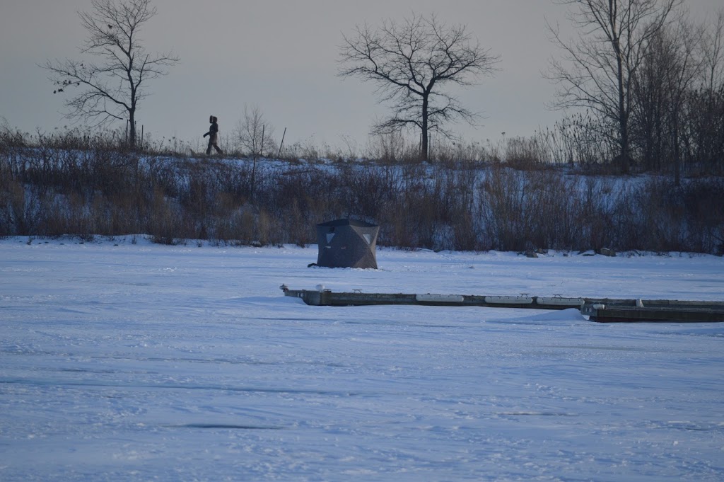 Lakeshore Yacht Club | 76 Colonel Samuel Smith Park Dr, Etobicoke, ON M8V 4B7, Canada | Phone: (416) 255-3701