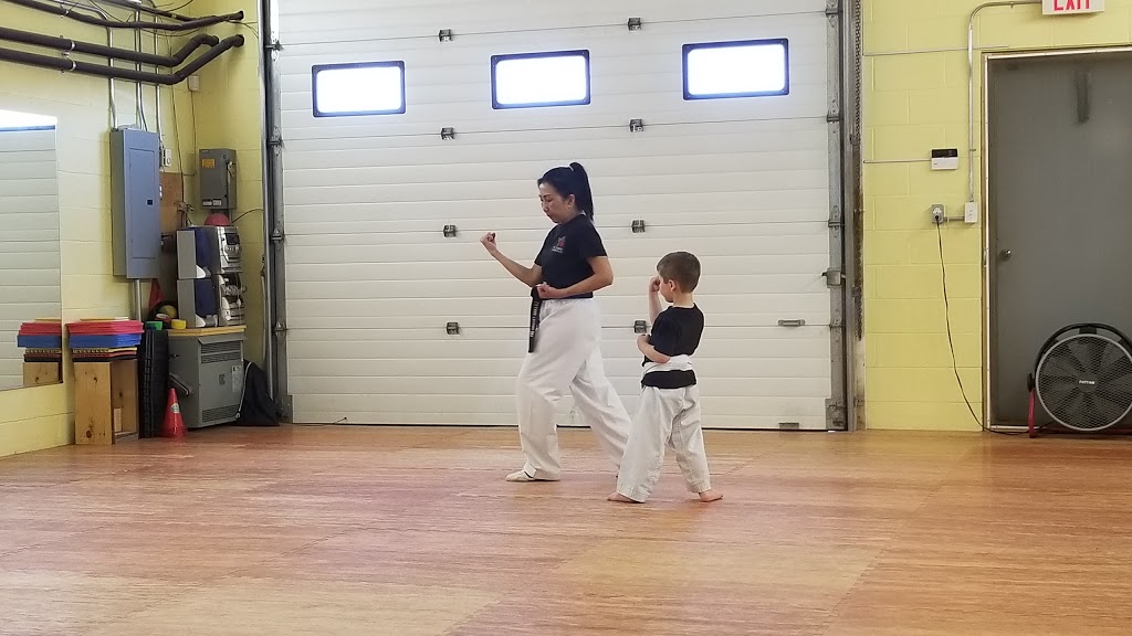T K Olympic Taekwondo Centre | 45 Dalkeith Dr Unit 11, Brantford, ON N3P 1M1, Canada | Phone: (519) 758-8551