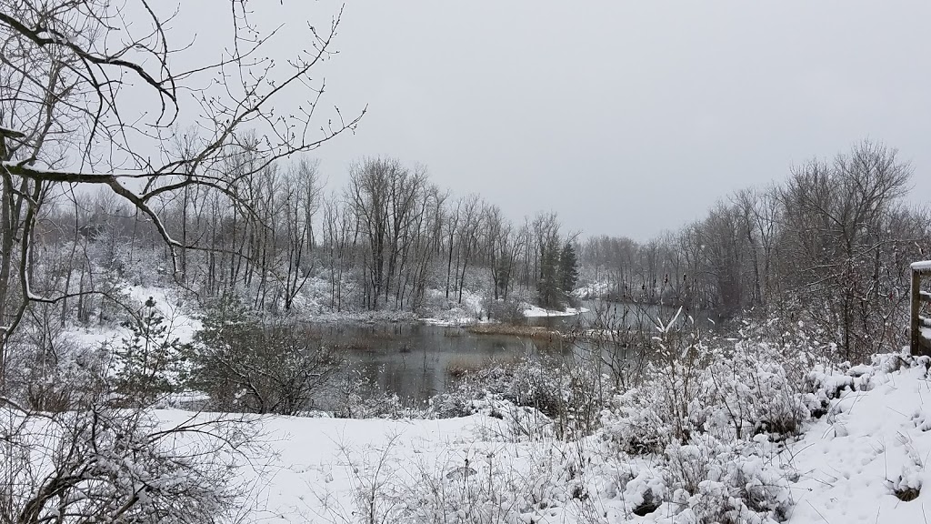 Tillman Road Wildlife Management Area | 9988 Wehrle Dr, Clarence, NY 14031, USA | Phone: (716) 372-0645