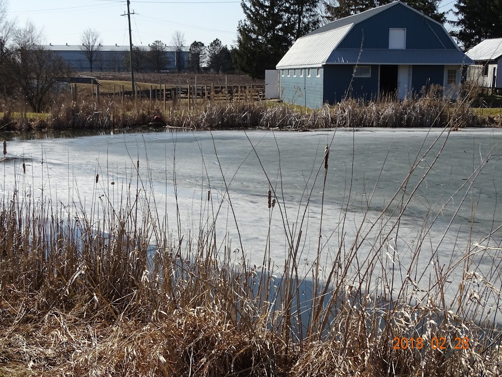 Blue Heron Equestrian | 1880 Concession 4 W, Troy, ON L0R 2B0, Canada | Phone: (905) 717-5027