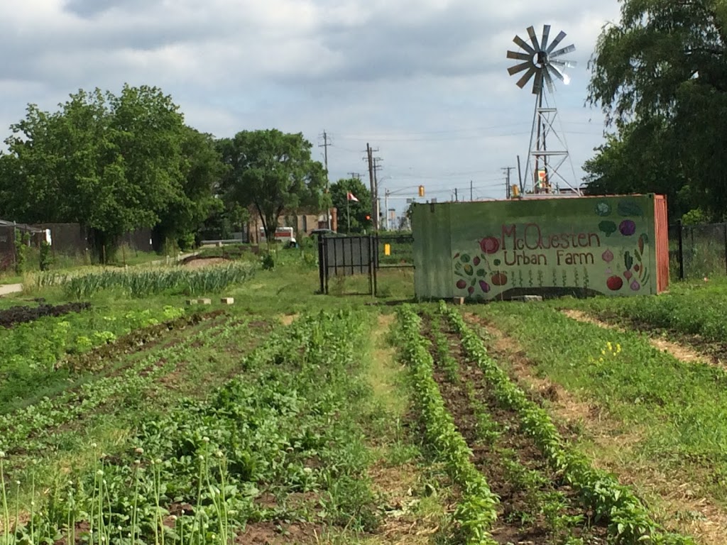McQuesten Urban Farm | 785 Britannia Ave, Hamilton, ON L8H 6P7, Canada