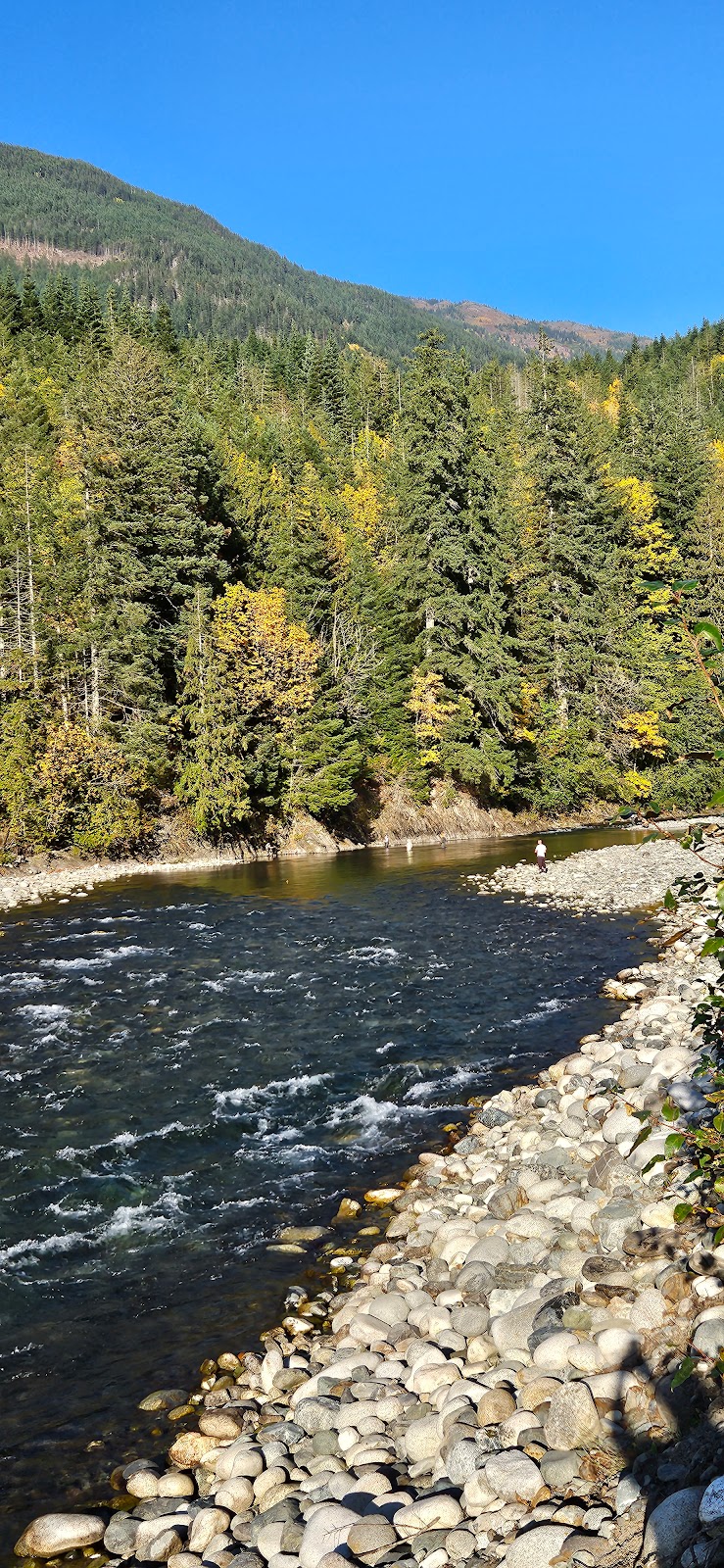 Five Cedars Campground | 51521 Chilliwack Lake Rd, Chilliwack, BC V4Z 1A7, Canada | Phone: (604) 866-8920