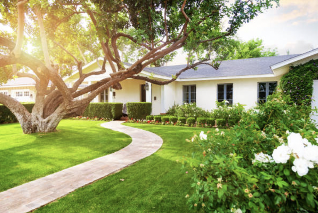 Green Clover Landscaping | 17823 Mt Hope Rd, Palgrave, ON L7E 0G3, Canada | Phone: (416) 465-1500