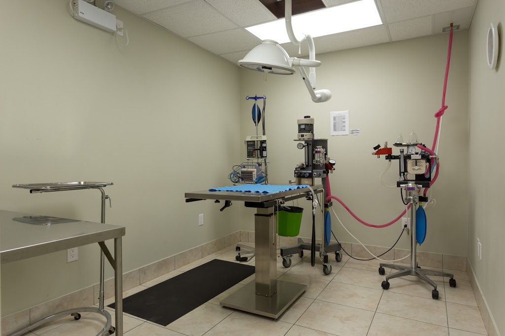 Billings Bridge Animal Hospital | 1220 Rooneys Ln, Ottawa, ON K1H 1C2, Canada | Phone: (613) 737-5007