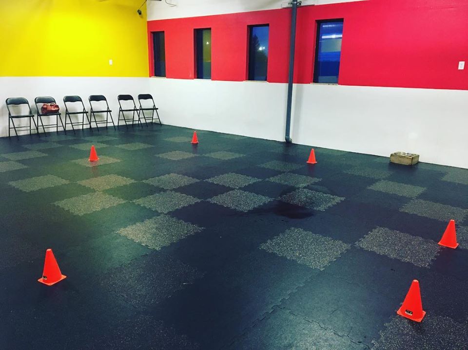Jennifer Broadbents Dog Training Academy | The Den Doggy Daycare, 5325 Harvester Rd, Burlington, ON L7L 5K4, Canada | Phone: (905) 869-2275