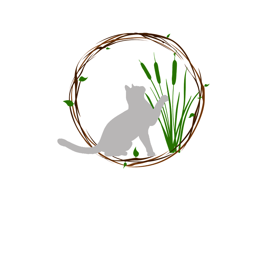 Cattails Cat Care | 836 Munro Dr, Arnprior, ON K7S 3G8, Canada | Phone: (613) 862-2835