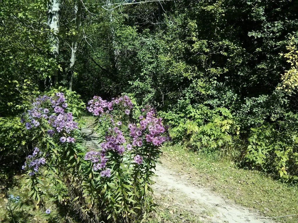 NCC Greenbelt P13 | P13, Ottawa, ON K2H, Canada