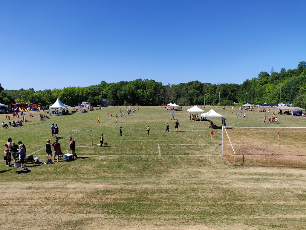 Mary-Anne Phillips Parc | 47 Chemin Summer, Cantley, QC J8V 3J3, Canada