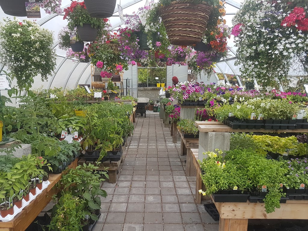 Deluxe Landscape Supply and Garden Centre | 5534 Sechelt Inlet Cres, Sechelt, BC V0N 3A3, Canada | Phone: (604) 885-9070
