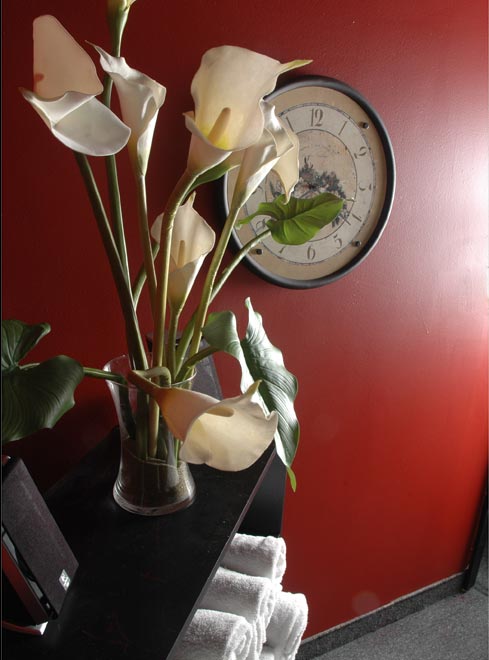 La Fleur Spa | 515 Riverside Dr W, Windsor, ON N9A 7C3, Canada | Phone: (519) 977-9229