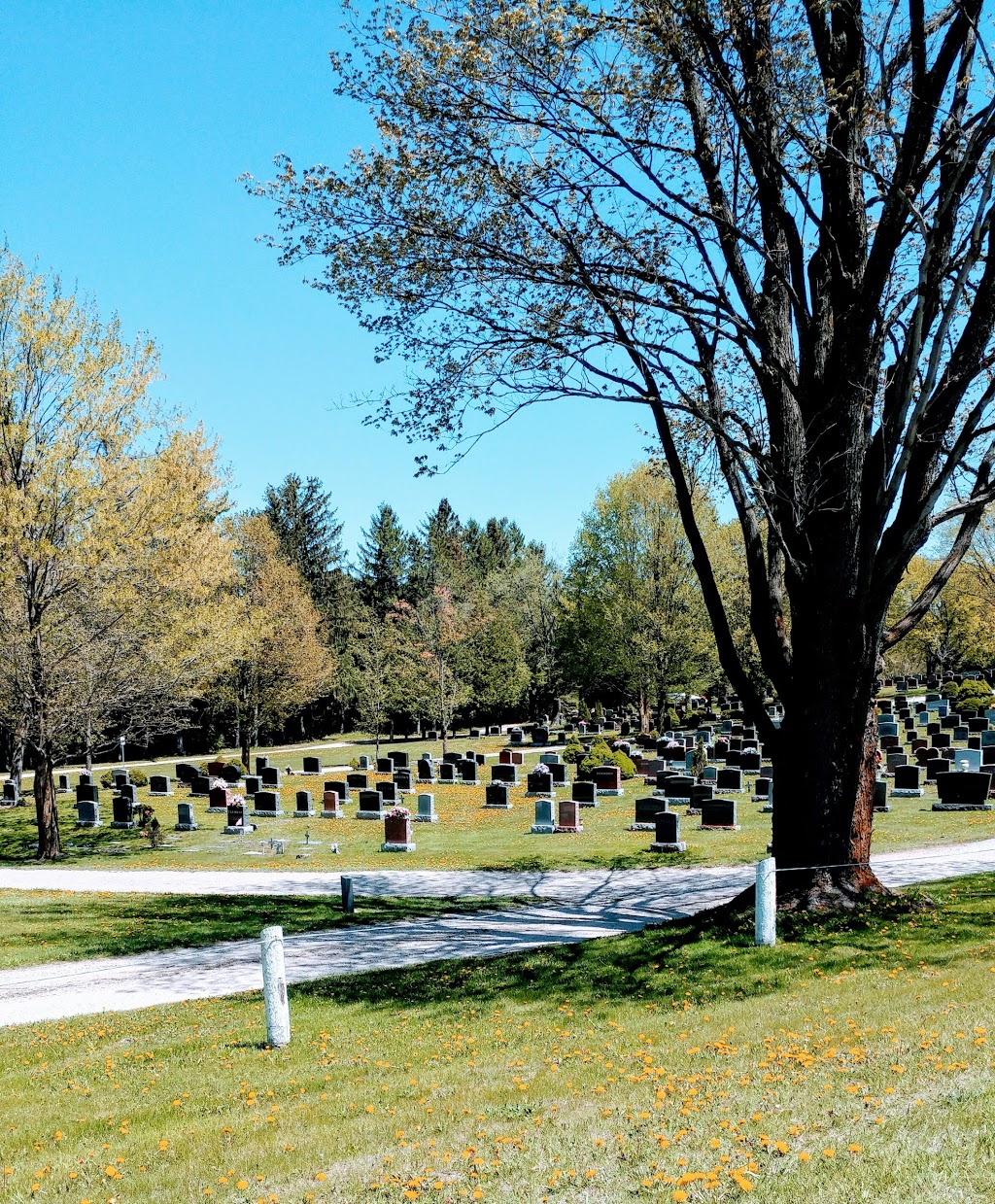 Shelburne Cemetery | 156035 ON-10, Shelburne, ON L0N 1S0, Canada | Phone: (519) 925-2600 ext. 238