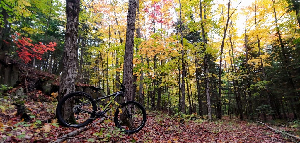 Echo Valley Nature & Bike Trails | Echo Hills Rd, Dwight, ON P0A 1H0, Canada | Phone: (877) 566-0005
