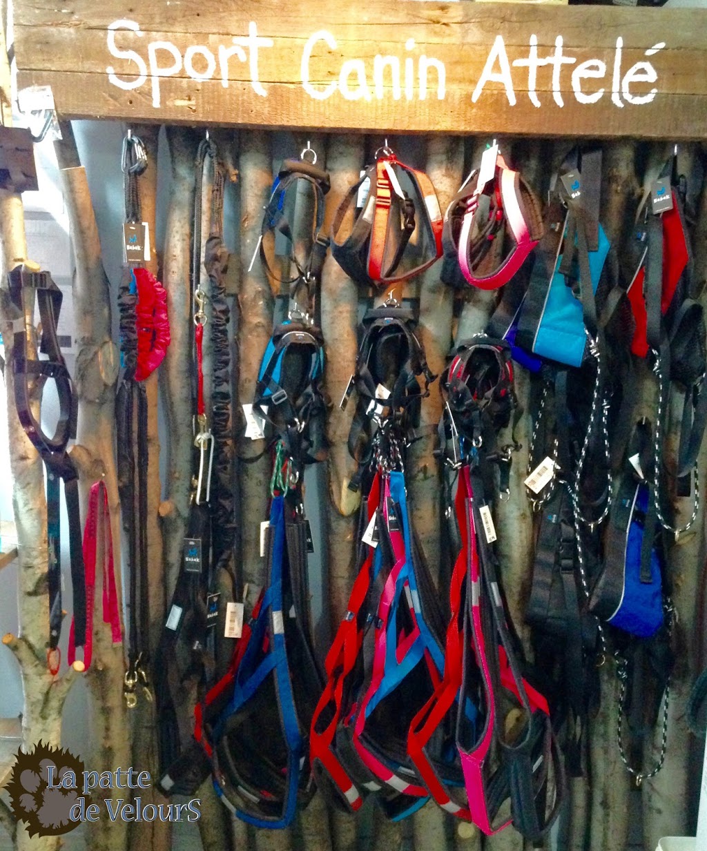 La patte de Velours | 295 Rue Saint-Antoine, Contrecoeur, QC J0L 1C0, Canada | Phone: (450) 587-2339
