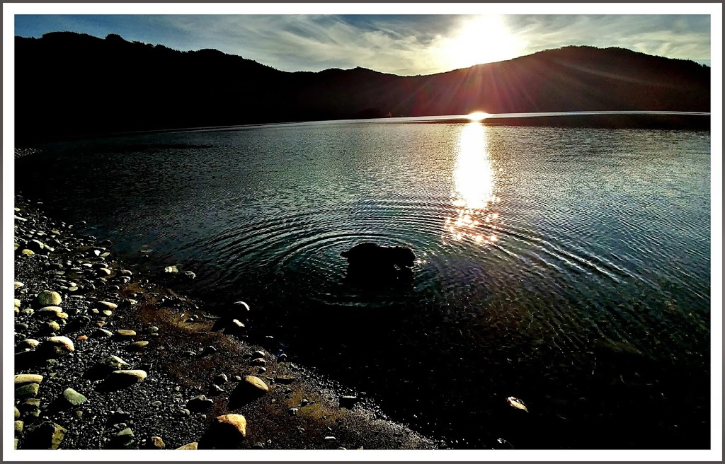 Recreation & Parks Department | 830 Island Hwy W, Parksville, BC V9P 2X4, Canada | Phone: (250) 248-3252