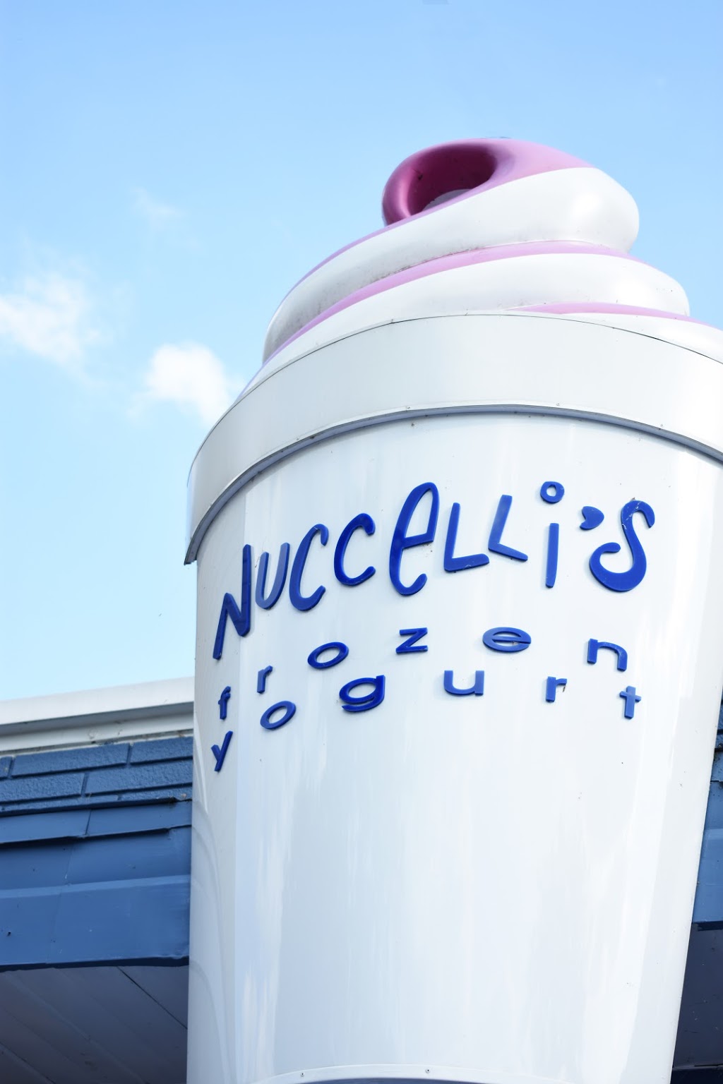 Nuccellis Frozen Yogurt | 274 Dalhousie St, Amherstburg, ON N9V 0E8, Canada | Phone: (519) 736-7020