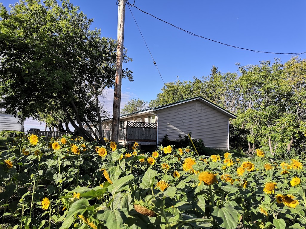 Colonsay Motel | 303 Railway Ave, Colonsay, SK S0K 0Z0, Canada | Phone: (639) 339-1888