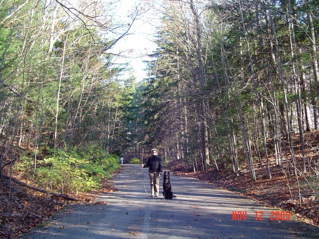 Chestnut Ridge Park | 6121 Chestnut Ridge Rd, Orchard Park, NY 14127, USA | Phone: (716) 662-3290
