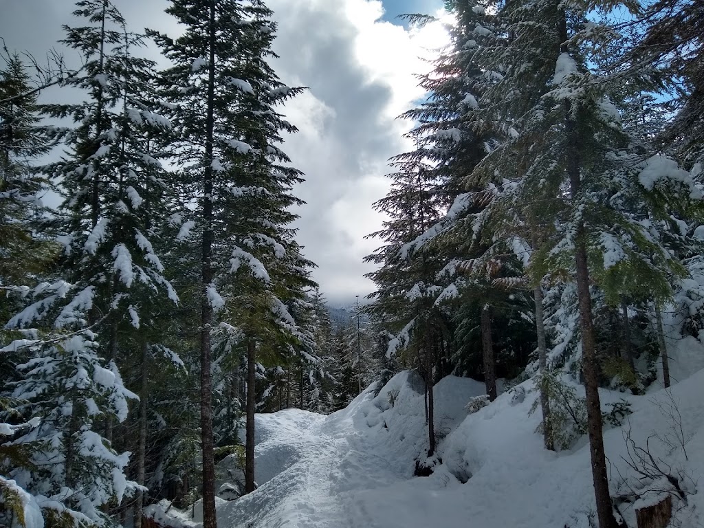 Panorama Trail | Unnamed Road, Britannia Beach, BC V0N 1J0, Canada | Phone: (604) 892-2550