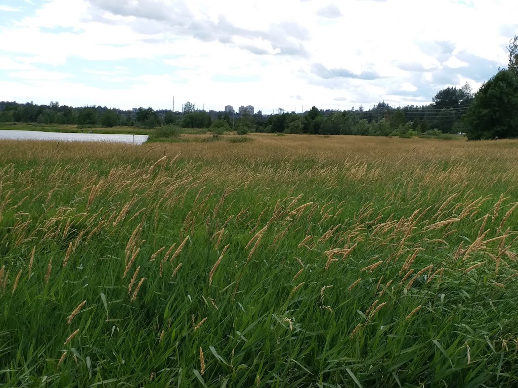 Bird Sanctuary | 34350 Bateman Rd, Abbotsford, BC V2S 7Y8, Canada | Phone: (778) 344-3105